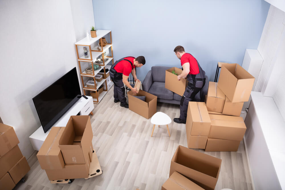 Shipping Services For Moving